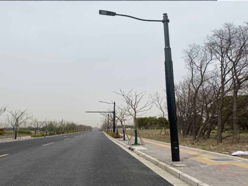 阳明区上海综合杆 太阳能路灯工程